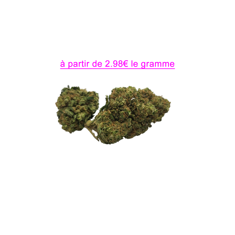 FLEUR GELATO 12.1% CBD FLEUR GELATO 12.1% CBD