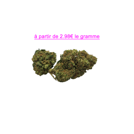 FLEUR GELATO 12.1% CBD