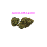 FLEUR GELATO 12.1% CBD