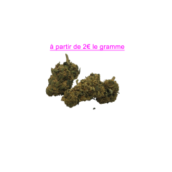 FLEUR TORUS 10.5% CBD