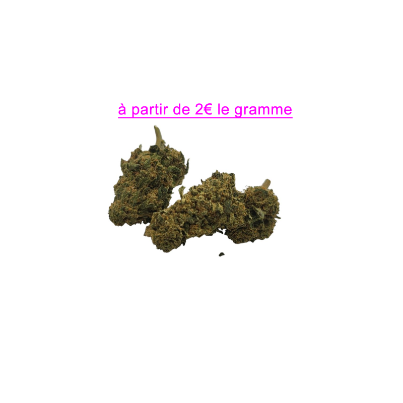FLEUR TORUS 10.5% CBD FLEUR TORUS 10.5% CBD