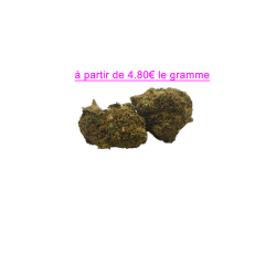 FLEUR GELATO RAF 10% CBD