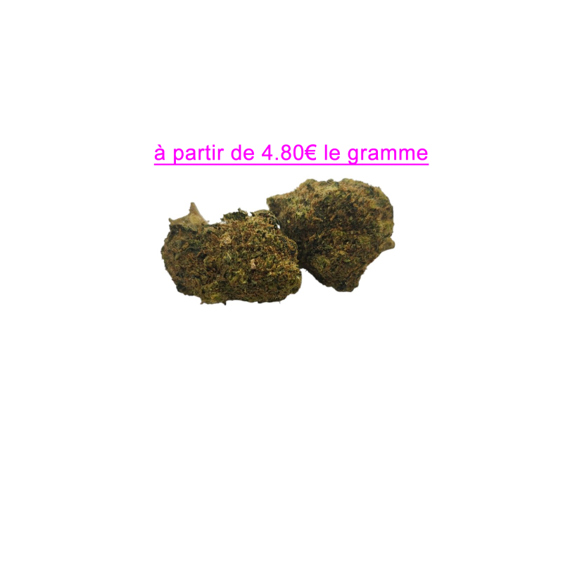 FLEUR GELATO RAF 10% CBD FLEUR GELATO RAF 10% CBD
