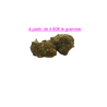 FLEUR GELATO RAF 10% CBD
