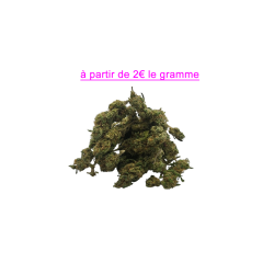 FLEUR RAINBOW CHIP 10.1% CBD