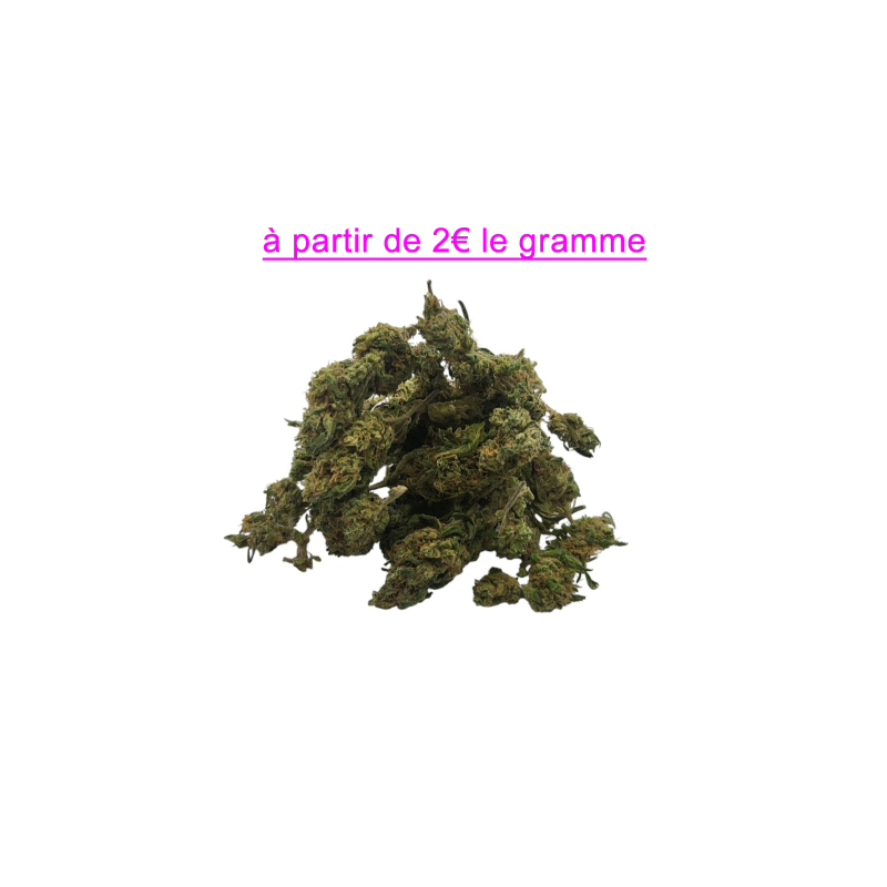 FLEUR RAINBOW CHIP 10.1% CBD FLEUR RAINBOW CHIP 10.1% CBD
