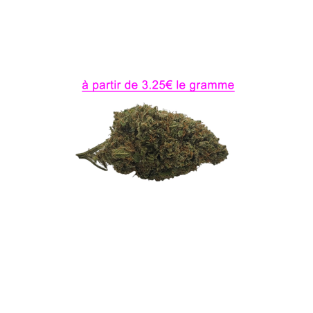 FLEUR CRITICAL 12% CBD