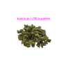 FLEUR AMNESIA 12.84% CBD
