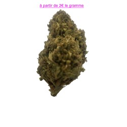 FLEUR TANGERINE DREAM 15%