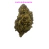 FLEUR TANGERINE DREAM 15%