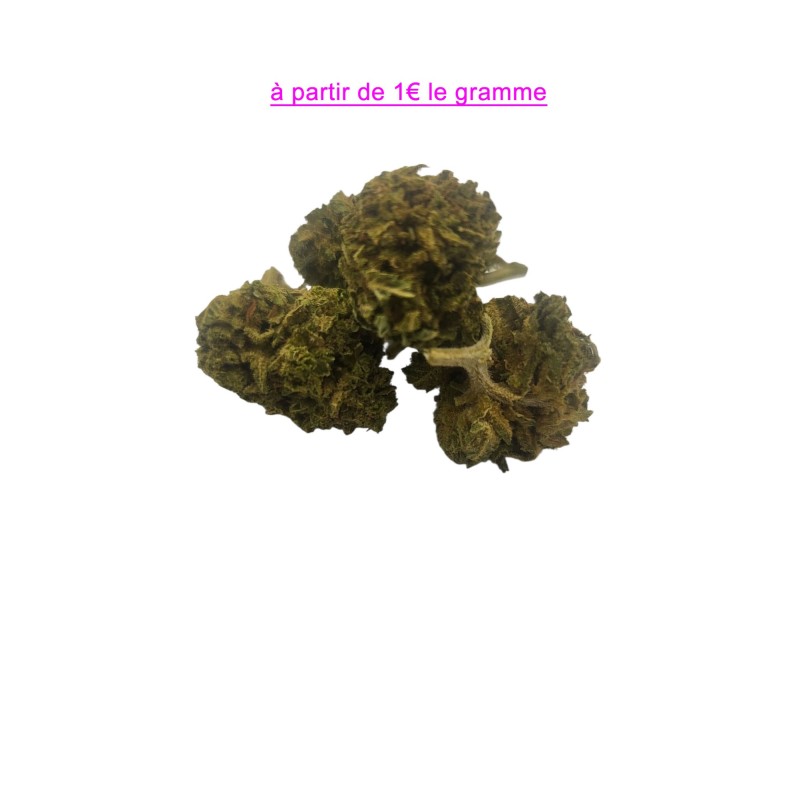 FLEUR BUBBLE GUM SMAILL BUDS 10,47% FLEUR BUBBLE GUM SMAILL BUDS 10,47%