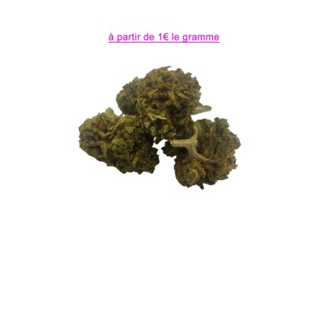 FLEUR BUBBLE GUM SMAILL BUDS 10,47%