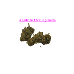 FLEUR TORUS 10.5% CBD