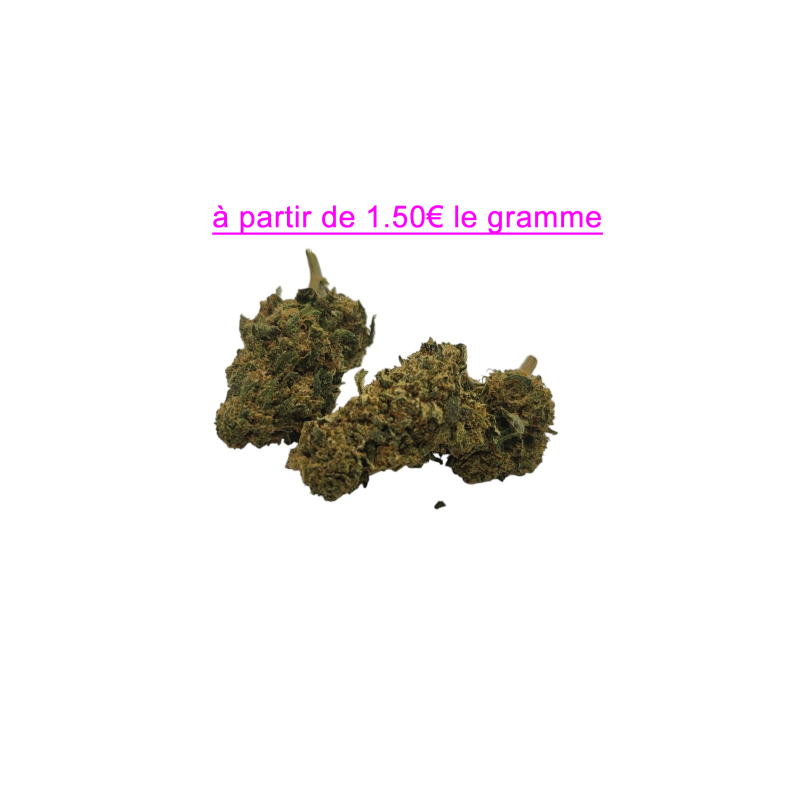 FLEUR TORUS 10.5% CBD FLEUR TORUS 10.5% CBD