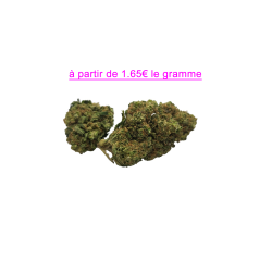 FLEUR GELATO 12.1% CBD