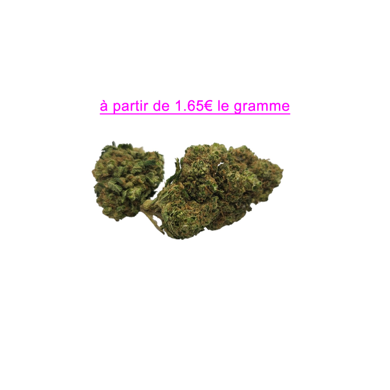 FLEUR GELATO 12.1% CBD FLEUR GELATO 12.1% CBD