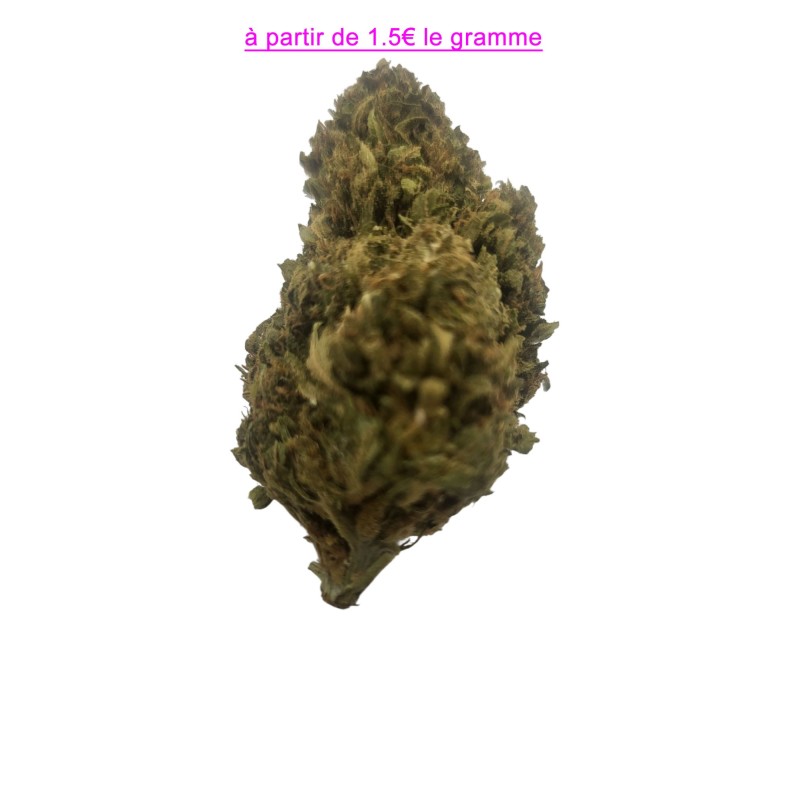 FLEUR TANGERINE DREAM 15% FLEUR TANGERINE DREAM 15%