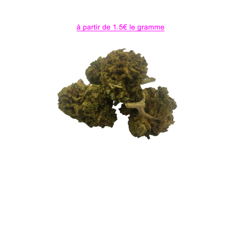 FLEUR BUBBLE GUM SMAILL BUDS 10,47% FLEUR BUBBLE GUM SMAILL BUDS 10,47%