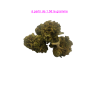 FLEUR BUBBLE GUM SMAILL BUDS 10,47%
