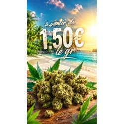FLEUR AMNESIA SMALL BUDS 15% CBD