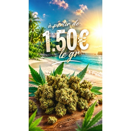 FLEUR AMNESIA SMALL BUDS 15% CBD
