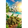 FLEUR AMNESIA SMALL BUDS 15% CBD