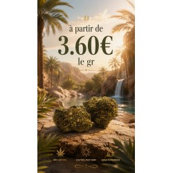 FLEUR GELATO RAF 10% CBD
