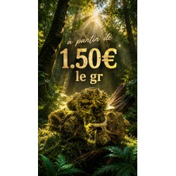 FLEUR BUBBLE GUM SMAILL BUDS 10,47%