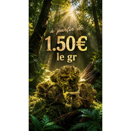 FLEUR BUBBLE GUM SMAILL BUDS 10,47%