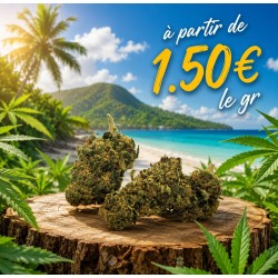 FLEUR TORUS 10.5% CBD