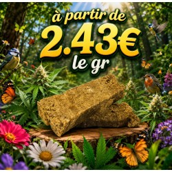 RESINE BUBBLE CBD 44.48% CBD