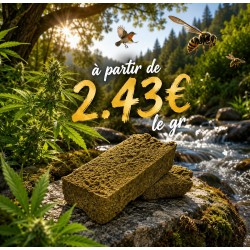 RESINE DOUBLE ZERO 36.18% CBD