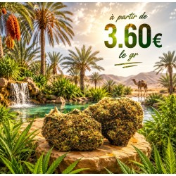 FLEUR GELATO RAF 10% CBD