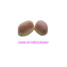 BONBON BULK SHROOMZ STRAWBERRY